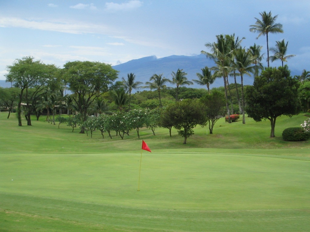 Wailea Courses