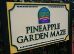 Walk Dole Plantation Pineapple Maze, Oahu, Hawaii