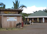 Visit Surfing Goat Dairy, Maui, Hawaii