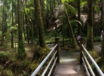 Visit Hawaii Tropical Botanical Garden, Big Island, Hawaii
