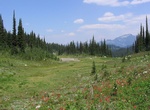Explore Mount Revelstoke National Park, BC, Canada