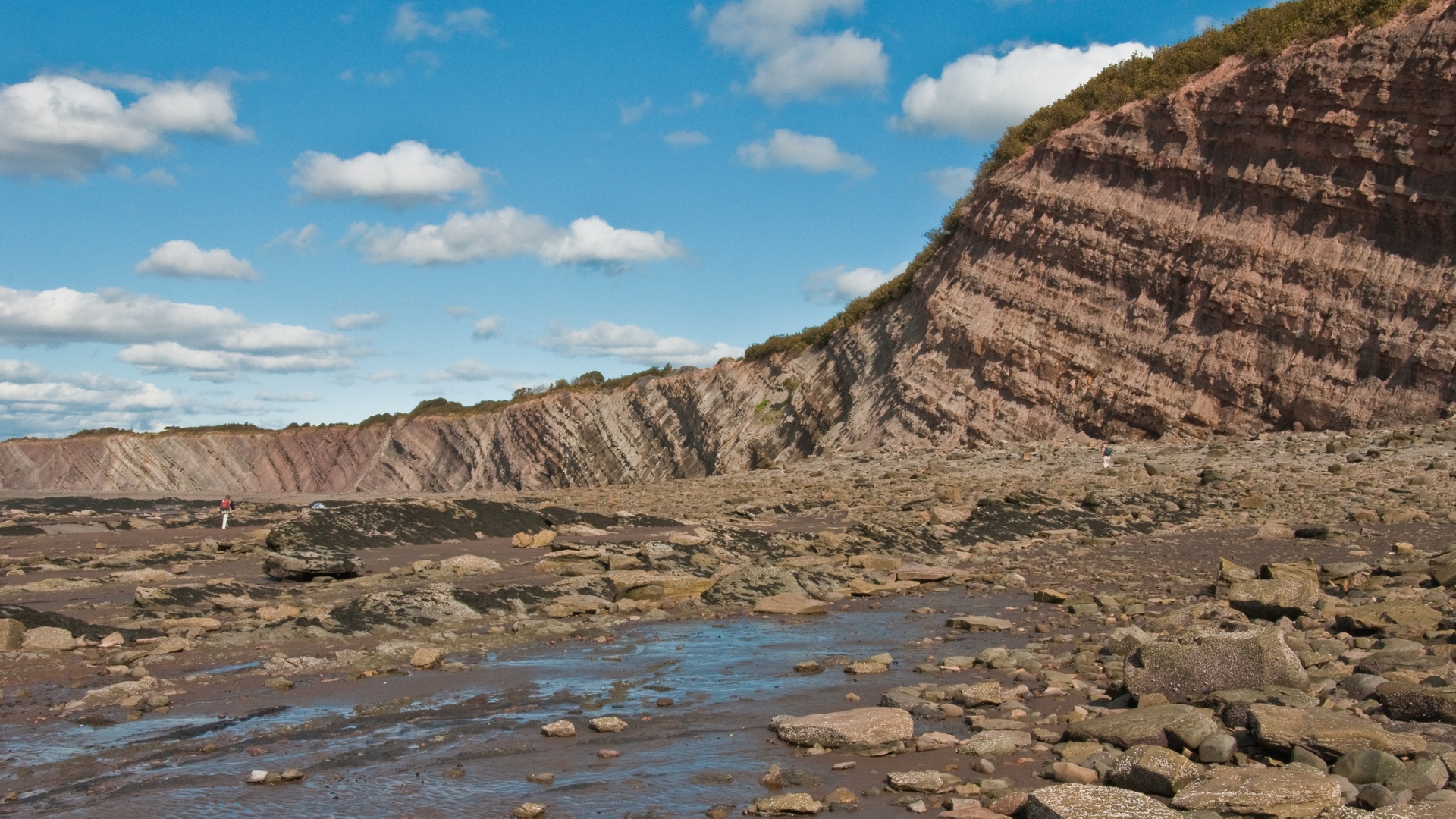 Joggins Fossil Cliffs