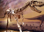 Visit Royal Tyrrell Museum of Palaeontology, Alberta, Canada