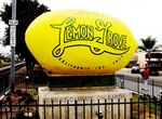 See The World's Biggest Lemon, San Diego, California
