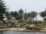Visit Shark Island, Sydney Harbour, Australia