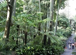 Explore Royal Botanic Gardens (Melbourne), Australia