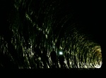 Explore Newnes Glow Worm Tunnel, Wolgan Valley, New South Wales, Australia