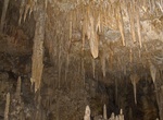 Explore Mammoth Cave, Margaret River, Western Australia