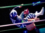 See a  Lucha Libre Match
