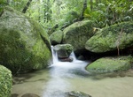 Explore Mossman Gorge, Daintree National Park, Queensland, Australia