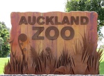 Visit Auckland Zoo, Auckland, New Zealand
