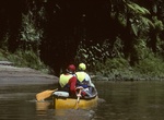 Canoe or Kayak Whanganui River, New Zealand