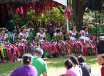 Attend Pasifika Festival, Auckland, New Zealand