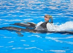 Swim with Dolphins in Los Cabos, Baja California, Mexico