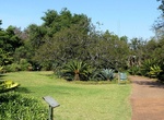Visit Pretoria National Botanical Garden, Pretoria, South Africa