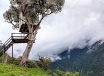 Swing at Casa Del Arbol (The Tree House), Baños, Ecuador