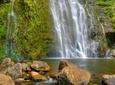 Waterfall & Rainforest Hiking Adventure with Hotel Pickup
