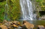 Waterfall & Rainforest Hiking Adventure with Hotel Pickup
