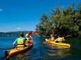 Lake Rotoiti Hot Pools and Glowworm Cave Kayak Tour from Rotorua