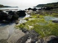 4-Day Magical Mull, Iona & West Highlands Small-Group Tour from Edinburgh