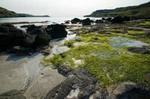 4-Day Magical Mull, Iona & West Highlands Small-Group Tour from Edinburgh
