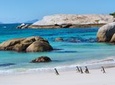 Marine Big 5 Adventure from Cape Town