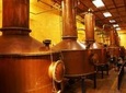 Jose Cuervo Distillery & Tequila Town Tour from Guadalajara