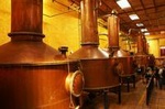 Jose Cuervo Distillery & Tequila Town Tour from Guadalajara