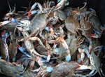 Try Chesapeake Blue Crab