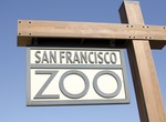 Visit San Francisco Zoo, California