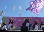 Attend Northern California Cherry Blossom Festival, San Francisco, California