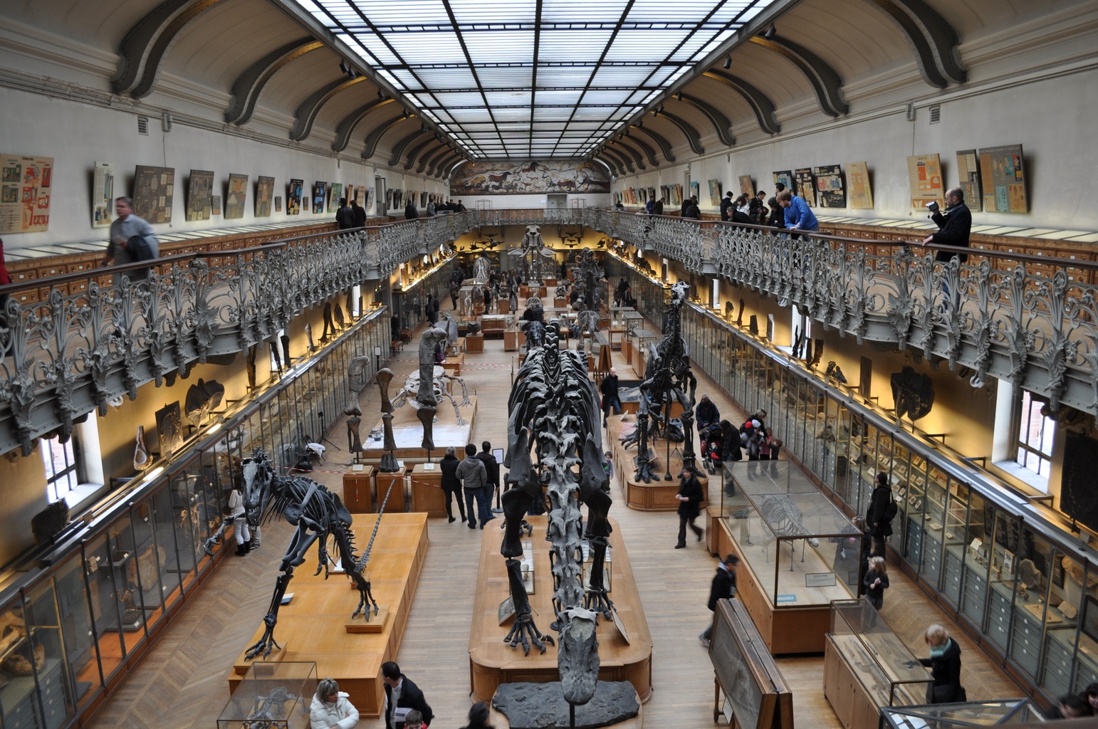galerie de paléontologie et d'anatomie comparée