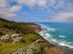 Explore Great Otway National Park, Victoria, Australia