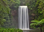 See Millaa Millaa Falls, Queensland, Australia