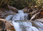 See Josephine Falls, Wooroonooran National Park, Queensland, Australia