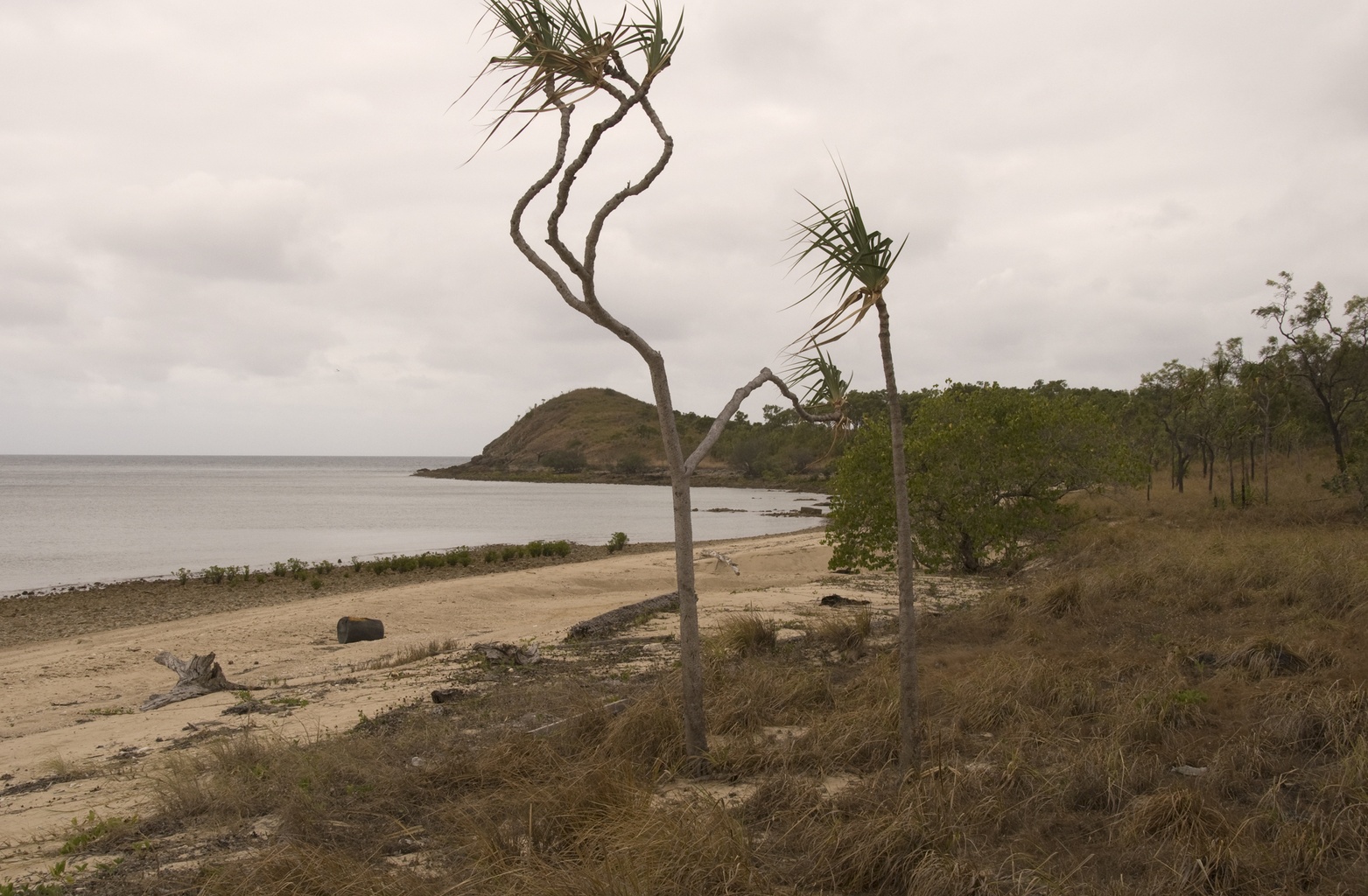Possession Island National Park