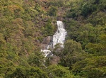 See Surprise Creek Falls, Barron Gorge National Park, Queensland, Australia
