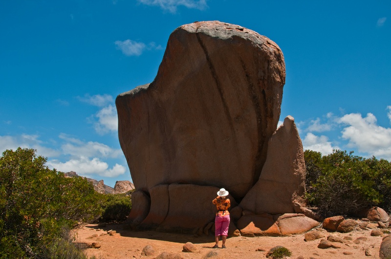 Whistling Rock & Thistle Cove