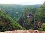 Explore Tully Gorge National Park, Queensland, Australia