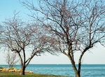 Swim in Lake St. Clair, Michigan & Ontario