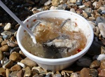 Try Jellied Eels