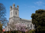 See St Mary's Cathedral, Limerick, Ireland