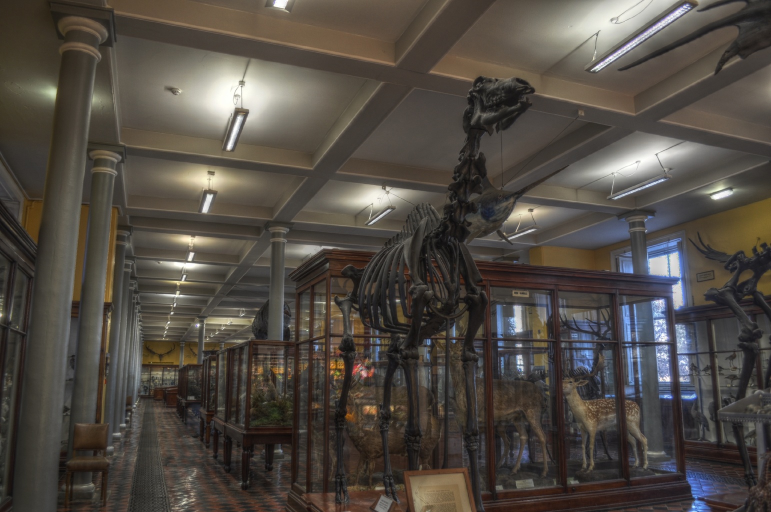 NATURAL HISTORY MUSEUM DUBLIN IRELAND visual data 2