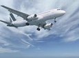Private Arrival Transfer: Amman Airport to Madaba Hotels