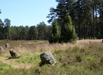 See Odry Megalithic Stone Circles, Poland