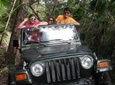 Waterfall Jungle Jeep Adventure and Cachaca Tour from Paraty