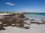 Visit Tiree, Scotland