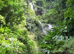 Hike to Tufton Hall Waterfall, Grenada