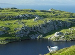 Explore Sheep's Head, Ireland