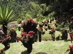 Visit Jardin de Balata Botanical Garden, Martinique